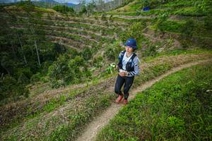 BIB: 
                            <button type="button" onclick="openModal(21855807)" class="btn btn-primary btn-sm float-right btn-popup" data-toggle="modal" data-target=".modal-high-quality">
                        <i class="fas fa-shopping-cart"></i> Add to Cart
                    </button>
                                            <button type="button" onclick="isThisMe(21855807, true)" class="btn btn-success btn-sm float-right btn-popup btn-isme hidden" data-toggle="tooltip" data-placement="bottom" title="นี่คือรูปของคุณใช่ไหม คลิกที่นี่เพื่อเอาเข้าอัลบั้ม">
                        <i class="fas fa-plus"></i> Add to album
                    </button>
                    <button type="button" onclick="isThisMe(21855807, false)" class="btn btn-warning btn-sm float-right btn-popup btn-isnotme hidden">
                        <i class="fas fa-ban"></i> Remove from album
                    </button>